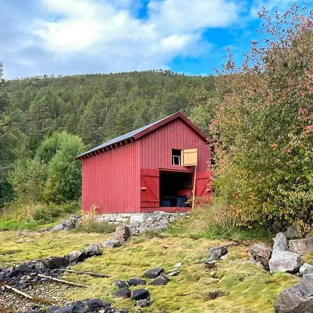 10 Person In Snillfjord-by Traum * Snillfjord